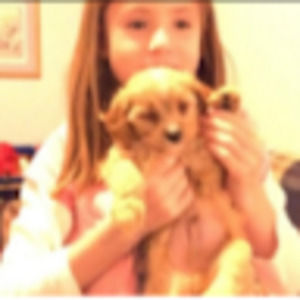 Meet your Posher, Rachel